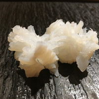 SUSHI TOKYO TEN、 新宿ニュウマン店 - 