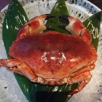日本料理　時宜 - 