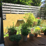 カーサ・デル・チーボ - 店のテラスには完全無農薬のエディブルフラワー