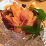 すし哲 本店 - ホヤ