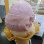 ラ・リューシェ - タイベリー＋マロン　1609