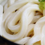 須崎食料品店 - 