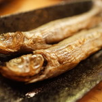 あかちょうちん - 鵡川ししゃも