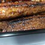 炭焼うなぎ 加茂 - 