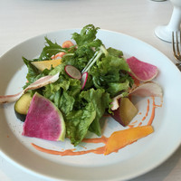 TOOTH TOOTH GARDEN RESTAURANT - 