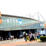 唐戸市場 活きいき馬関街 - 唐戸市場！