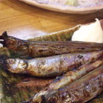 彩食酒季サムライ - 