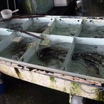 新華都海鮮酒家 - 