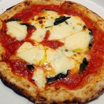 魚屋のピザ屋　ALBERO - マルゲリータ