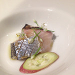 セラフィーノ - 