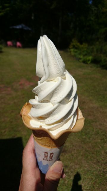 アイスクリームショップ クリークサイド - 郡上八幡/ジェラート