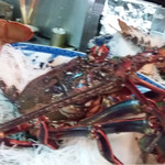 天一 - 伊勢海老