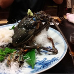 天一 - おにえび