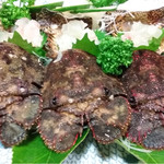 天一 - ぞうりえび