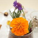 メイユー アヴニール ア トウキョウ - ランチコース 2592円 のプティ フール