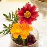 メイユー アヴニール ア トウキョウ - ランチコース 2592円 の可愛く豊富なプティサレ、平塚産 無農薬野菜のクリュディテ畑