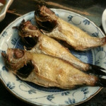 大衆料理　川治 - のどぐろの一夜干し