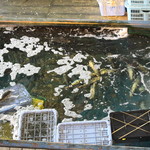 唐戸市場 活きいき馬関街 - ２階から見た市場の様子。
      