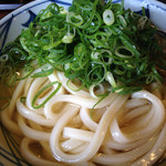 Marugame Seimen - かけ