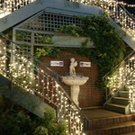 里山dining 野の宴 - 