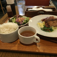 ブラチェリア バーヴァ - 