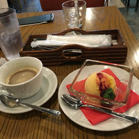 ブラチェリア バーヴァ - 