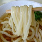 さぬきうどん。たんぽぽ - 