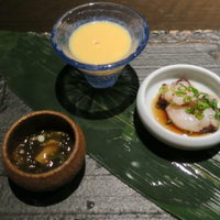 美神鶏 - 