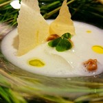 セララバアド - 夏の草原