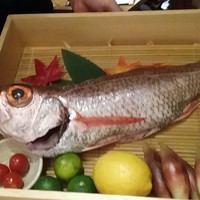 のどぐろ専門 銀座 中俣 - 