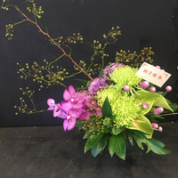 山桜 - 2016