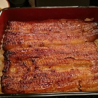 鰻割烹 伊豆栄 本店 - 