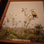 北海道ホテル - 