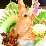 KAKIYA シェル＆シュリンプ - 牡丹海老の目が生き生きしてる♪　イヤ、死んでるけどｗ