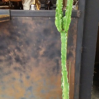 アイアンコーヒー_2