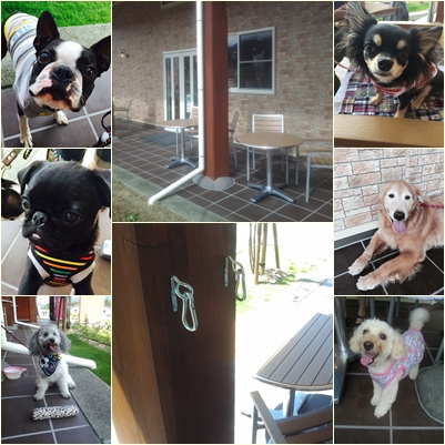 魚沼スイーツガーデン ナトゥーラ