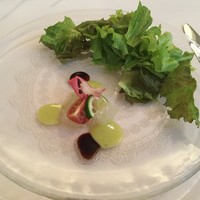 シェムラブルリス - サラダ