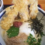 けんたろう - 綺麗なうどん