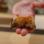 寿しの吉乃 - 穴子、たれ