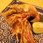 まいもんや かっぱ - 2016年9月　鬼海老前から