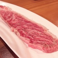 鴨川たかし - 