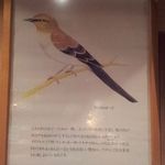 これがMockingbirdだ！