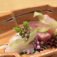 和ごころ 泉 - あこう鯛　カンパチ　剣先いか