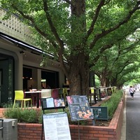 キハチ 青山本店 - 