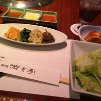 游玄亭 ホテルニューオータニ大阪店 - 