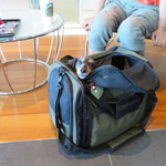 乃の風リゾート - ウェルカムドリンクもワンコと一緒に♡