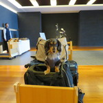 乃の風リゾート - ホテルのロビー