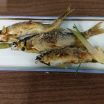 男山漁場 - 鮎の塩焼き（天然）