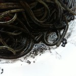 Lamp - イカスミ恐るべし！！