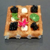 タパス モラキュラーバー - 